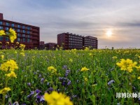 南開師范大學津南校區(qū)2023年學費、收費多少