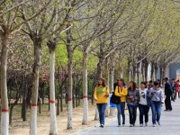 河北農業(yè)師范大學現(xiàn)代科技學院2023年招生錄取分數(shù)線