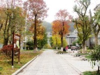 吉首師范大學(xué)張家界學(xué)院2023年學(xué)費、收費多少