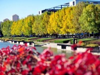 天津財經師范大學2023年招生錄取分數(shù)線