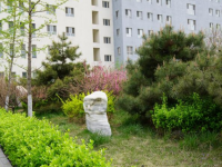 涿州幼師技師學院2023年學費、收費多少
