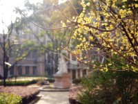 東華大學師范學院延安路校區(qū)2023年學費、收費多少