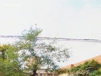 西安職業(yè)中等幼師專業(yè)學(xué)校2023年報(bào)名條件、招生要求、招生對(duì)象