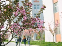 渭南職業(yè)技術(shù)師范學(xué)院朝陽校區(qū)2023年學(xué)費、收費多少
