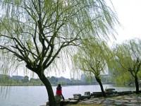 金華職業(yè)技術(shù)師范學(xué)院2023年學(xué)費(fèi)、收費(fèi)多少