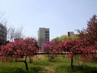 漯河職業(yè)技術(shù)師范學(xué)院2023年學(xué)費(fèi)、收費(fèi)多少