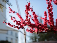 山東威海藝術(shù)幼兒師范學(xué)校2023年學(xué)費(fèi)、收費(fèi)多少