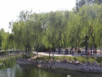 新鄉(xiāng)工程師范學(xué)院2023年學(xué)費(fèi)、收費(fèi)多少
