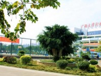 廣西大學(xué)行健文理師范學(xué)院2023年學(xué)費(fèi)、收費(fèi)多少