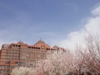 內蒙古大學師范學院北校區(qū)2023年招生錄取分數線