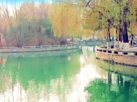 內蒙古大學師范學院北校區(qū)歷年招生錄取分數線