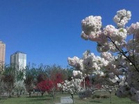 河北正定師范高等?？茖W(xué)校2023年招生錄取分?jǐn)?shù)線