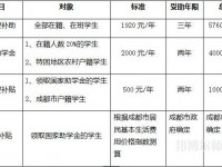 四川文軒職業(yè)幼兒師范學校2023年學費、收費多少