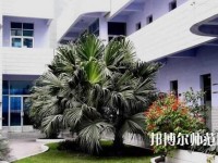 四川信息工程幼兒師范學(xué)校2023年報名條件、招生要求、招生對象