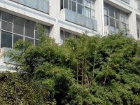貴州貴陽中山科技幼兒師范學校2023年學費、收費多少