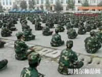 邯鄲技師幼兒師范學(xué)院2023年報名條件、招生要求、招生對象