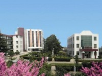 臨沂第一職業(yè)幼兒師范中等專業(yè)學(xué)校2023年學(xué)費(fèi)、收費(fèi)多少
