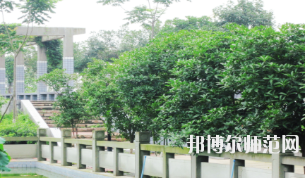 德陽(yáng)通用電子科技幼兒師范學(xué)校2020年報(bào)名條件、招生要求、招生對(duì)象