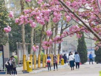 石家莊法商幼兒師范中等專業(yè)學(xué)校2023年學(xué)費(fèi)、收費(fèi)多少