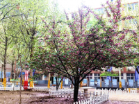 石家莊法商幼兒師范中等專(zhuān)業(yè)學(xué)校2023年報(bào)名條件、招生要求、招生對(duì)象