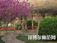 鄭州2020年幼師學(xué)?？梢詫W(xué)什么