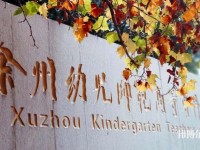 徐州幼兒師范高等?？茖W校有哪些專業(yè)