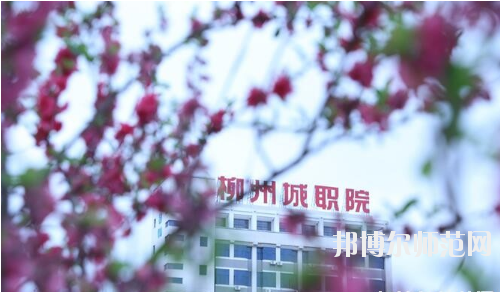 柳州城市職業(yè)師范學院怎么樣、好不好