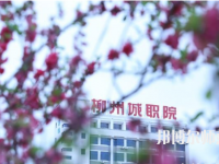 柳州城市職業(yè)師范學(xué)院2023年怎么樣、好不好