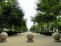 廣西現(xiàn)代職業(yè)技術(shù)師范學(xué)院2023年報(bào)名條件、招生要求、招生對(duì)象