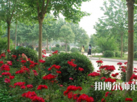 河南科技職業(yè)師范大學(xué)2023年報名條件、招生要求、招生對象