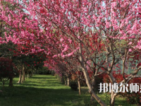 河南科技職業(yè)師范大學2023年怎么樣、好不好