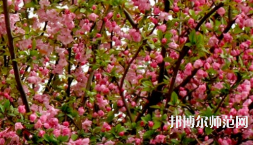鄭州大學(xué)師范學(xué)院南校區(qū)2023年怎么樣、好不好