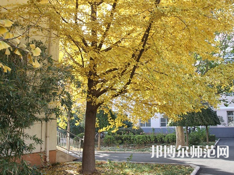 北京京北職業(yè)師范技術(shù)學(xué)院2023年報名條件、招生要求、招生對象