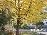 北京京北職業(yè)師范技術學院2023年報名條件、招生要求、招生對象