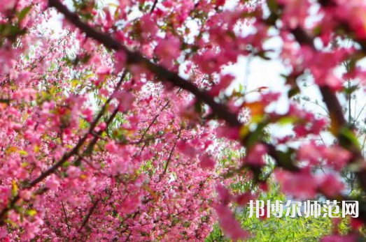 鄭州大學(xué)師范學(xué)院主校區(qū)2023年報(bào)名條件、招生要求、招生對(duì)象