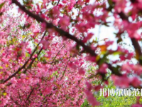 鄭州大學(xué)師范學(xué)院主校區(qū)2023年報(bào)名條件、招生要求、招生對象