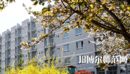 周口職業(yè)技術(shù)師范學院文昌校區(qū)2023年怎么樣、好不好