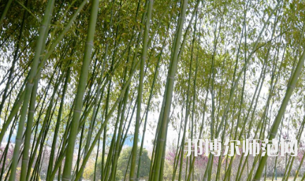 周口職業(yè)技術(shù)師范學(xué)院開元校區(qū)2023年報(bào)名條件、招生要求、招生對(duì)象