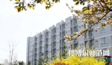 周口職業(yè)技術(shù)師范學院開元校區(qū)2023年怎么樣、好不好