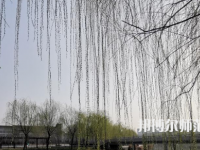 鶴壁職業(yè)技術(shù)師范學(xué)院2023年怎么樣、好不好