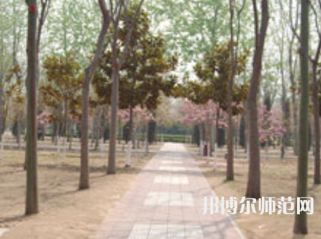 濮陽(yáng)職業(yè)技術(shù)師范學(xué)院2023年報(bào)名條件、招生要求、招生對(duì)象