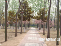 濮陽職業(yè)技術(shù)師范學(xué)院2023年報(bào)名條件、招生要求、招生對象