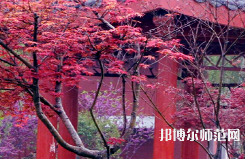 駐馬店師范職業(yè)技術(shù)學(xué)院2023年怎么樣、好不好