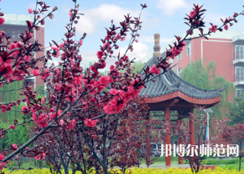 駐馬店師范職業(yè)技術(shù)學(xué)院2023年報(bào)名條件、招生要求、招生對(duì)象