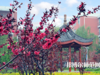駐馬店師范職業(yè)技術(shù)學(xué)院2023年報(bào)名條件、招生要求、招生對象