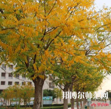榆林職業(yè)技術(shù)師范學(xué)院2023年怎么樣、好不好