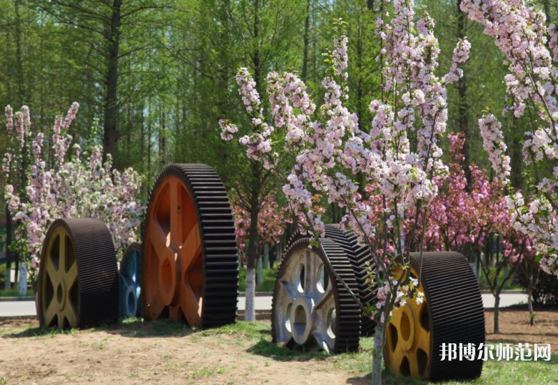 青島職業(yè)技術師范學院2023年招生錄取分數線