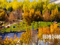 河南理工師范大學(xué)北校區(qū)2023年報(bào)名條件、招生要求、招生對象