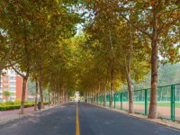 聊城師范大學(xué)東昌學(xué)院2023年報名條件、招生要求、招生對象