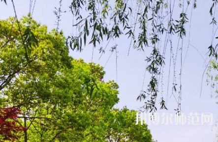 南陽理工師范學院2023年報名條件、招生要求、招生對象